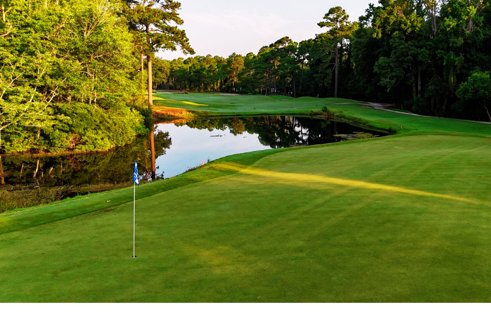 Guest Reward: https://gardencityrealty.icnd-cdn.com/images/guestrewards/Founders Club at Pawleys Island 01.png